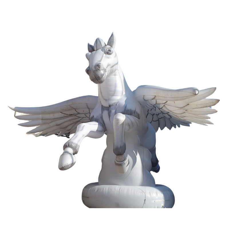 Pegasus Insuflável