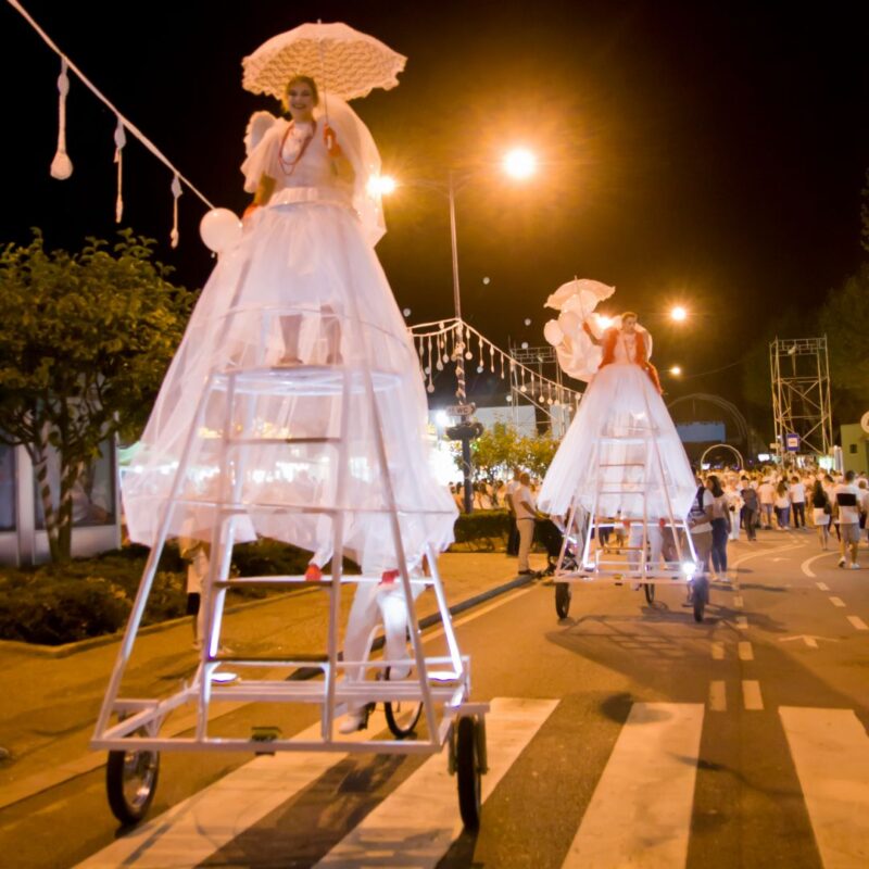 Estrutura Móvel Performativa - Image 2